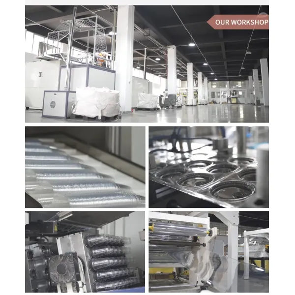 Disposable Clear PET Takeout Fruits Acai Salad Bowls with Lids