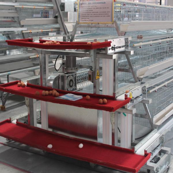 Полноавтоматическая система клеток яичного слоя цыпленка рамки