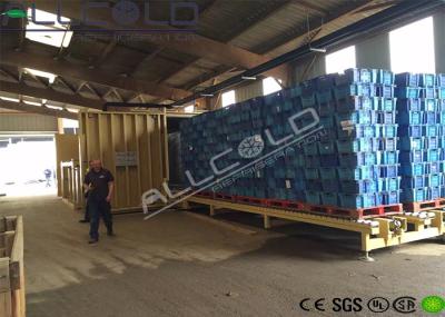 Vácuo fresco forte azul - páletes refrigerando da máquina 8 com Schneider bonde