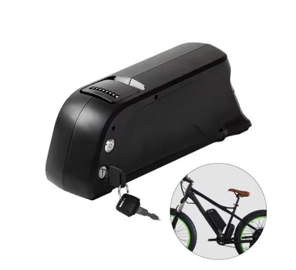 Dolphin Lithium Ion 48v 15ah Ebike Battery 18650 cell 36v 20ah