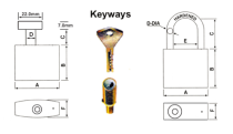 Rarlux Industrial Safety Durable High Security Solid Iron Disc Padlock 60-70mm with Plastic Painted Body and 3 Pcs Vane Keys