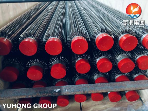 ASME SA213 ASTM A213 TP316L Longitudinal Finned Tube With SS316L Fin Strip