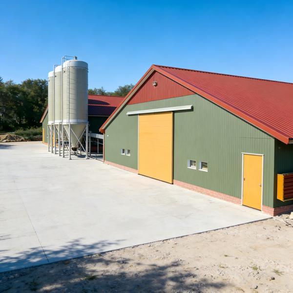 Commercial Broiler and Layer Chicken Farm High-Intensity Corrosion-Resistant Designed Chicken house