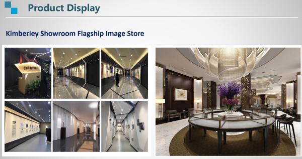 Interior Decoration Metal Display Racks And Stands Creative Bird Cage Shape Flower Shelf