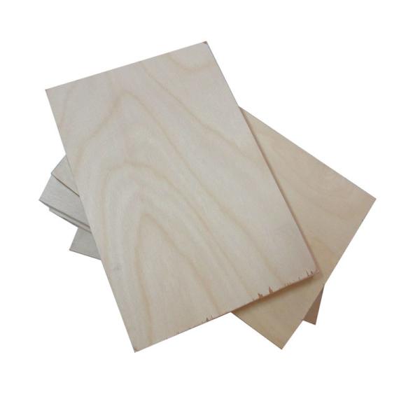 Full Hardwood Core MR 12mm Film Faced Birch Plywood