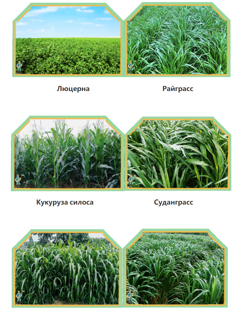 DM125 /DM135/DM165/DM185 роторная косилка похож на WIRAX