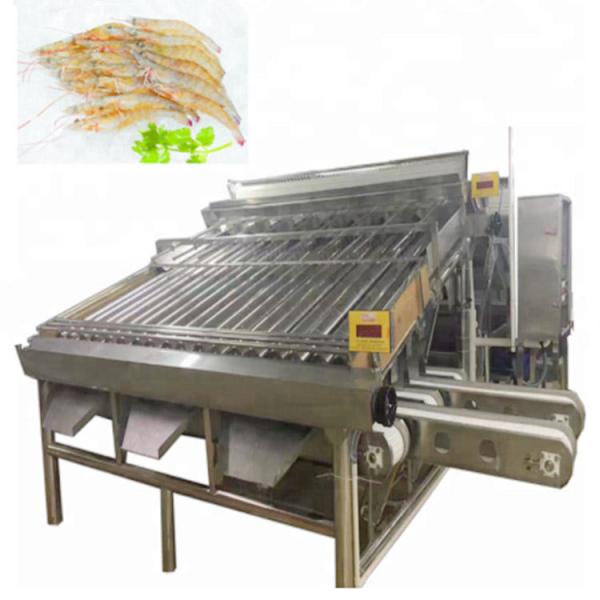 Automatic 200kg/H Shrimp Peeler Machine Efficiency For Factory Use