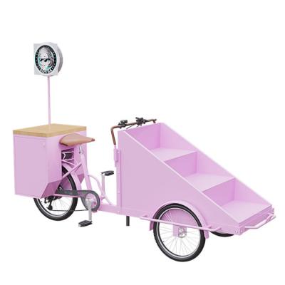 Projeto de integração do carro móvel ultra leve do vendedor ambulante para a flor/frutos/petiscos