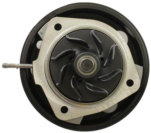 95810603303 Pièces moteur Pompe à eau