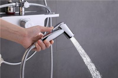 Wear Resistant Bathtub Shower Faucet Sets Chrome Double Switching Ceramic Valve Core