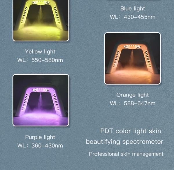 Professional Photon 7 Colors PDT Led Light LED Facial Mask Machine For Skin Rejuvenation Light Therapy