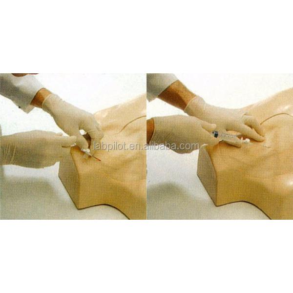 Multiple Veins Puncture Training Simulator Central Venous Catheterization Torso Model