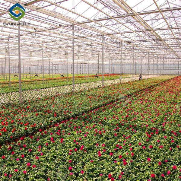 Sainpoly Commercial  Agricultural Flower Green Houses For Planting
