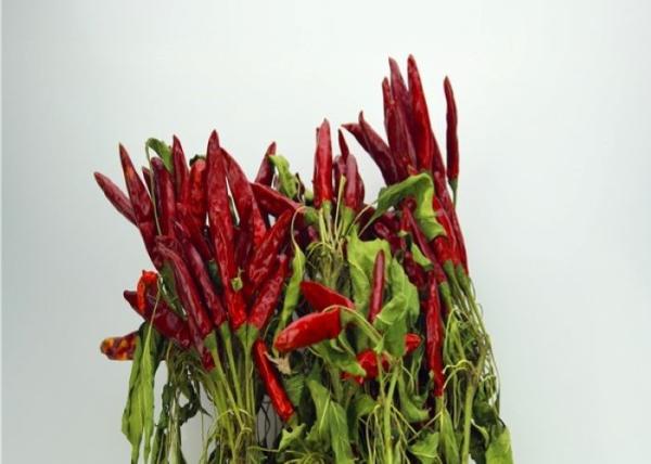 Piments secs entiers de 7CM aucun poivrons secs épicés refoulés par additif