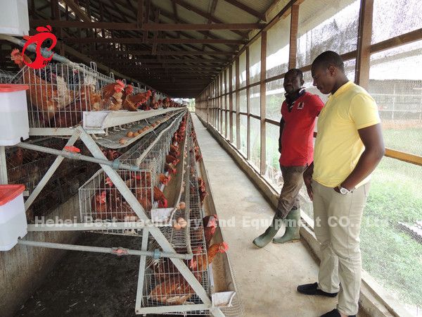 Тип 3 ярусы наслаивает звезду птиц 450cm2 клеток батареи 120 цыпленка