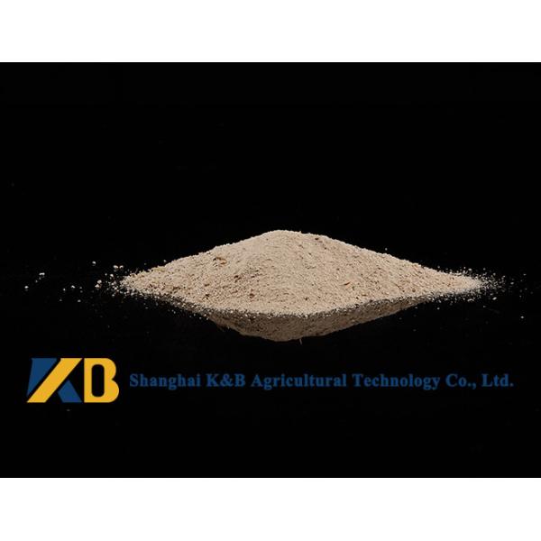 Non GMO 60% Content Rice Protein Powder Ease Digestible Neutral Odor And Flavor