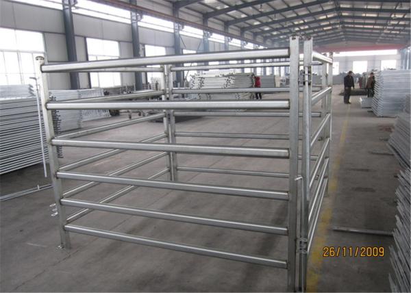 Horse panels 1.6m x 2.1m and 1.8m x 2.1m 5 bars 6 bars available