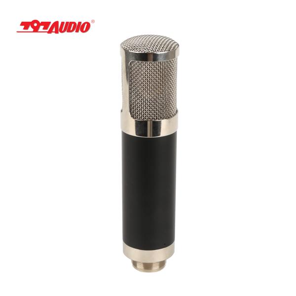 U95S Large Diaphragm Vacuum Tube Condenser Microphone for Recording by Audio OEM/ODM