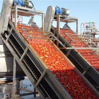 Machine de transformation de la sauce à la confiture et à la pâte de tomate ligne de production de tomates 30 tonnes par jour