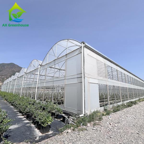 Metal Frame Durable Multi Span Plastic Film Greenhouse For Agriculture Farming