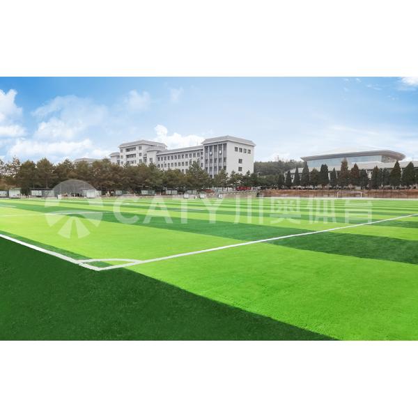 Искусственная трава наполняет EPDM гранулы антивозрастные для газона / игровой площадки / футбольного поля