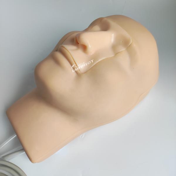 Vivid Head and Neck Model Nasal Hemorrhage Simulator for Patients Care Demonstration