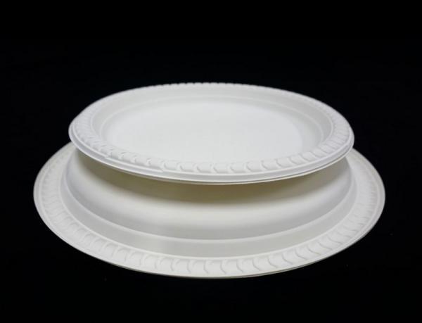 Audit ISO 9001 Certified Disposable Plates and Cutlery for Sustainable Celebrations
