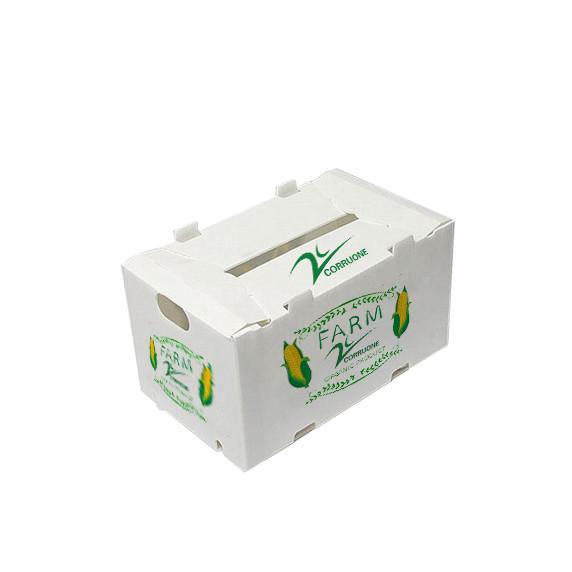 Correx Vegetable Corrugated Boxes Agriculture Hollow Board Box