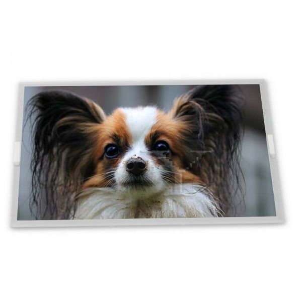 Pantalla táctil LCD de 40 pines y 7 pulgadas 800*480 LMS700KF07-004 para reproductor de DVD portátil, pantalla automotriz y marco de fotos digital