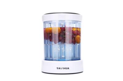 240V Fruit And Vegetable Purifier Tableware Cleaning Machine 50/60 Hz