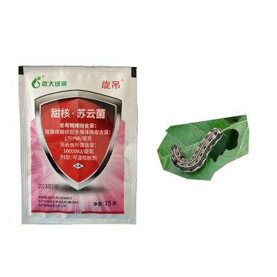 Fungo Matador de Insetos Orgânicos - Mata Insetos com Rapidez e Segurança