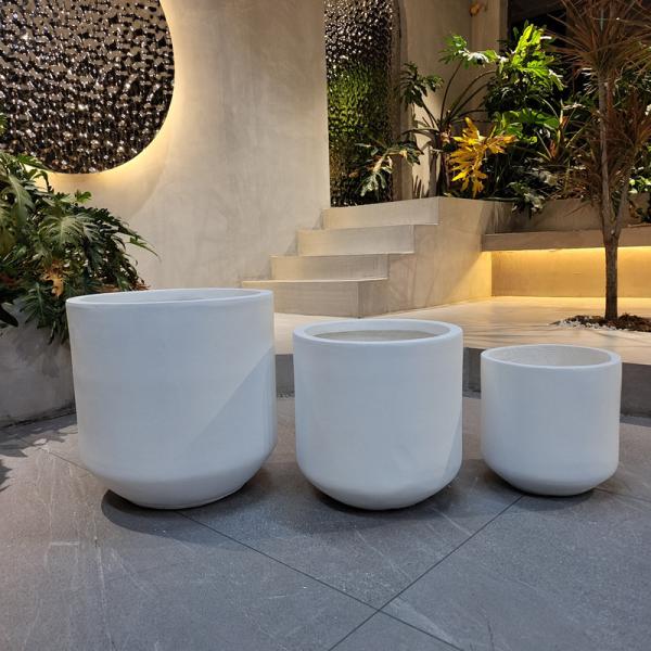 Wholesale Real Plant Display With Fiber Clay Planters Decoration