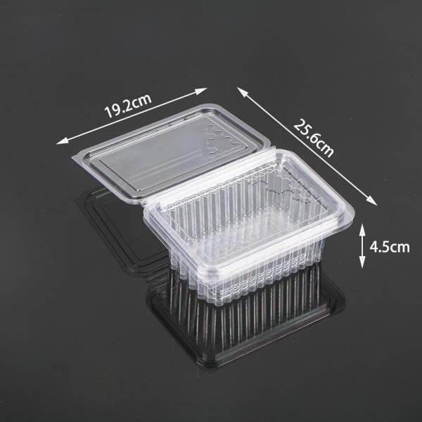 Hengmaster Food Grage Disposable Plastic Honeycomb Container Disposable PET Snack Tray