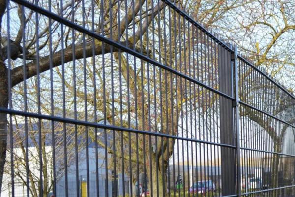 868 & 656 Twin-Wire Mesh Security Fencing Systems With Cheaper Price