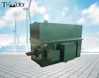 Moteurs électriques à haute tension asynchrones triphasés 900kw 1250kw de charbonnage de Y900 Y1000
