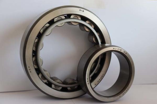 Single Row Sealed Or Open Roller Bearing / Precision Roller Bearing NJ202E