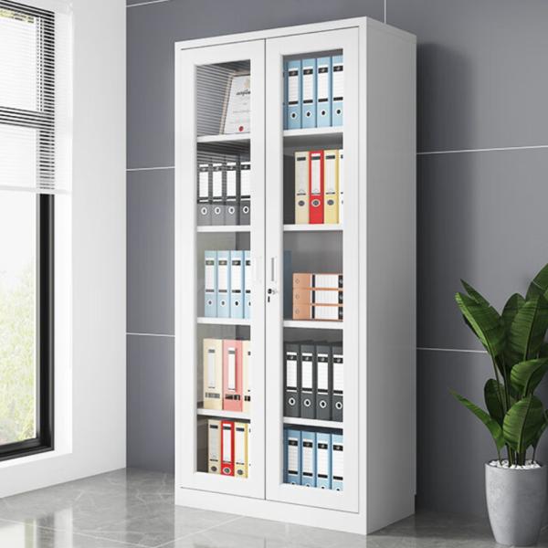 Modern Full-Glass Storage Metal File Cabinet with 2-Swing Glass Door for Office Home School Outdoor Living Room Gym Hospital Use