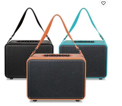 Popular Active Tws Portable Speaker USB 6.5 Inch Karaoke Speaker With Mics