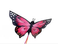 La cometa apilable de la mariposa con Ripstop cubrió el material de la tela para divertirse de la playa