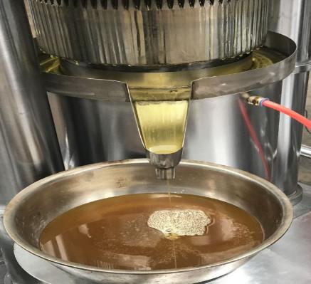 Walnut Oil Cold Pressed Extraction Machine 60 Mpa Hydraulic Press High Oil Yield