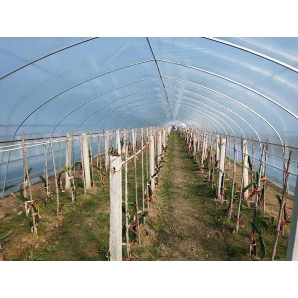 Длинный провод ЛЮБИМЦА продолжительности жизни 2.6mm 2.8mm для земледелия прикрепляет веревочку напряжения фильма диапазона