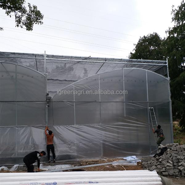 Single Layer Greenhouse Hydroponics System Wrought Iron Greenhouse With Film Surface