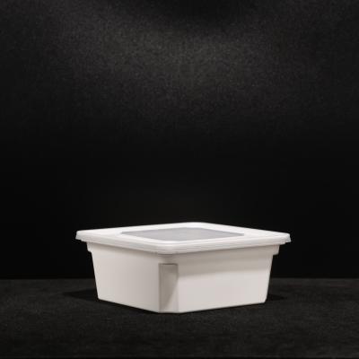 Snap On Leakproof Plastic Divided PP Lunch Box para fácil piquenique e armazenamento