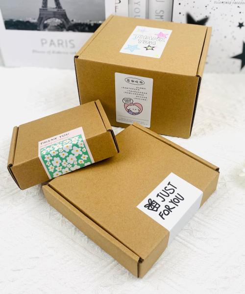 Cajas cuadradas de correo Kraft resistente, embalaje rígido y alto para regalos, envío, embalaje corrugado
