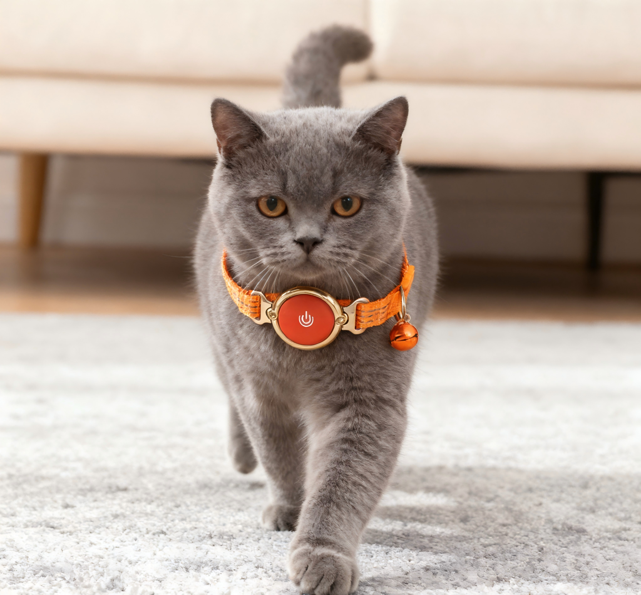 Durable Pet Collar for Cats Orange Smart Round Power Button Bell Metal Buckle Webbing