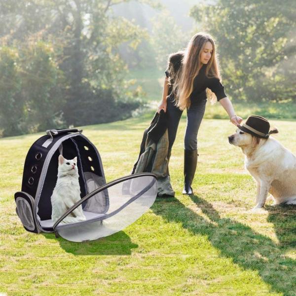 Transparent Capsule Pet Bag Carrier Luggage Case Transparent Trolley Case With Trolley Wheels