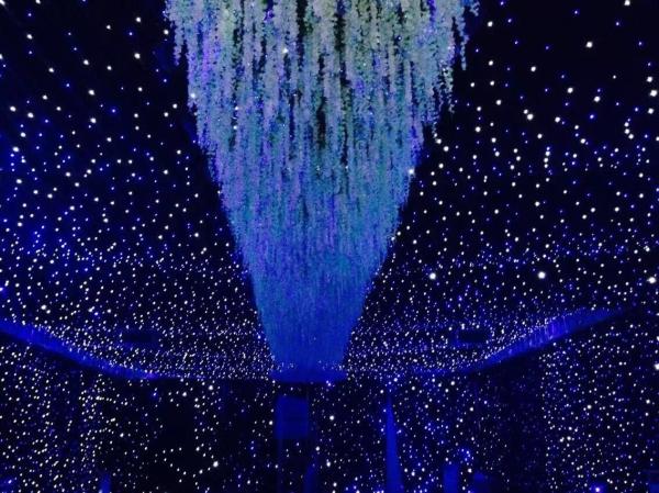 Blue and White twinkle cloth for performance background LED Star Curtain