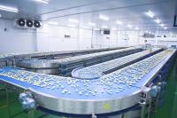 Bolo controlado independente do copo que refrigera o transporte de correia curvado multi maneira