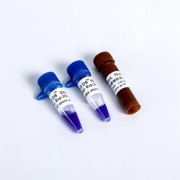 Stable Non Toxic DSRed Nucleic Acid Gel Stain 10000x  0.5ml Fluorescent Nucleic Acid Dye