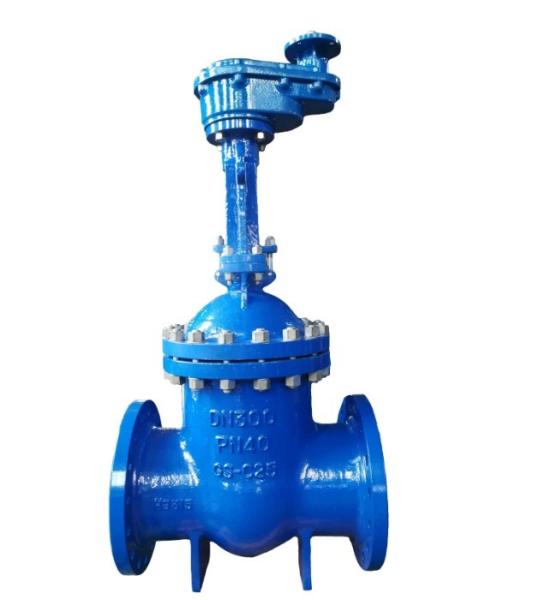 Medium Temperature 8 Inch Carbon Steel Gate Valve ANSI API 150Lb 300lb Manual Flange